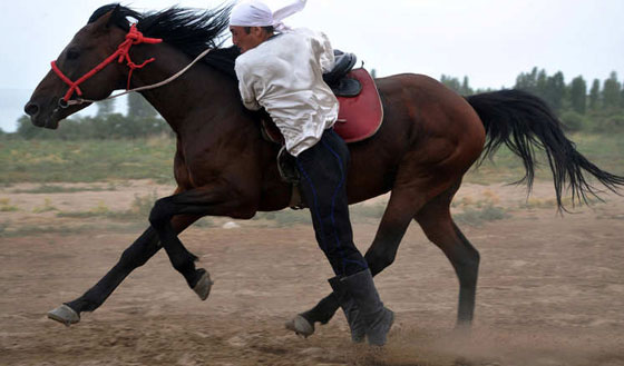 بالصور.. شاهد مهارات محاربي قيرغيزستان في ركوب الخيل صورة رقم 3