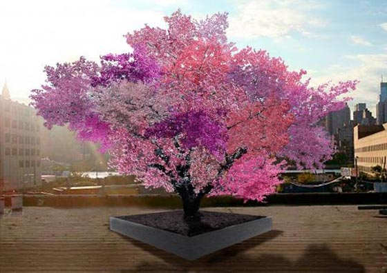 تقنية الرقاقة.. شجرة واحدة تنتج 40 نوعا مختلفا من الفاكهة والأزهار صورة رقم 1