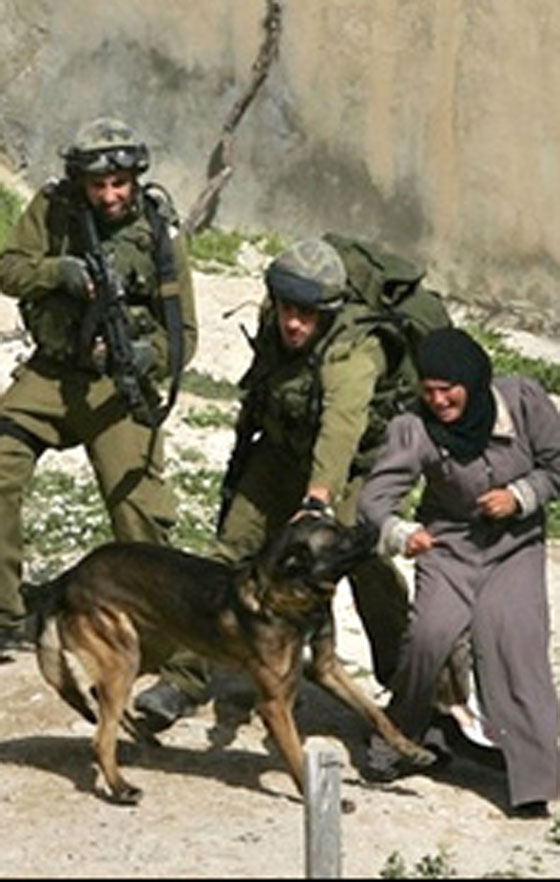 ملف دواعش المستوطنين حافل بالجرائم البشعة بحق الفلسطينيين صورة رقم 9