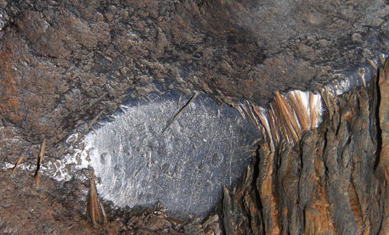 محراث الفلاح يكشف سر أكبر نيزك سقط على سطح الكرة الارضية صورة رقم 8
