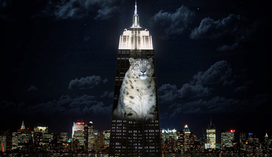 ناطحة سحاب في نيويورك تتحول لشاشة تعرض الحيوانات المهددة بالانقراض صورة رقم 8