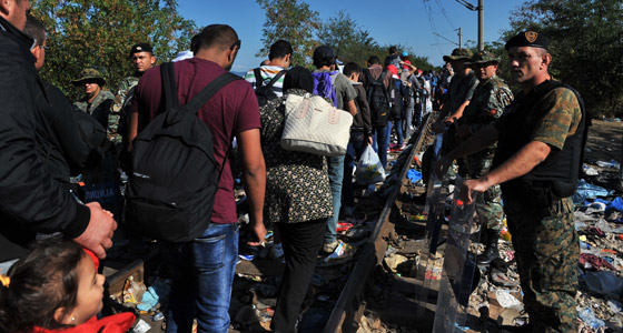 ملياردير مصري يسعى لشراء جزيرة يونانية لحل أزمة اللاجئين صورة رقم 11