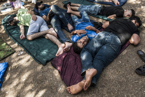 ابواب اوروبا تستقبل لاجئي سوريا الهاربين من جحيم داعش صورة رقم 20