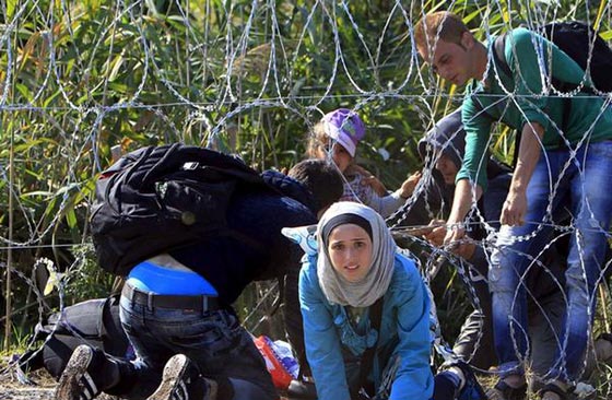  مأساة.. اوروبا ترفض اللاجئين المسلمين وترحب بالبوذيين والوثنيين صورة رقم 4