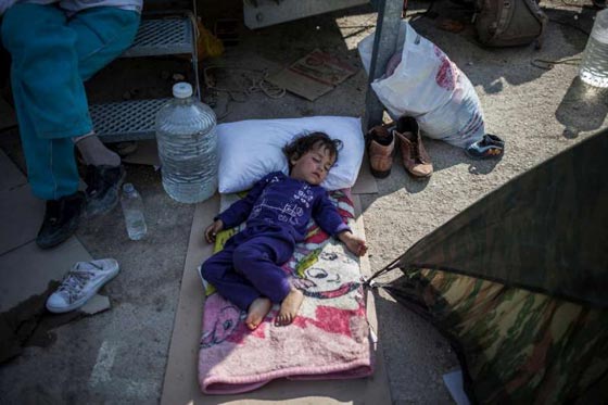  مأساة.. اوروبا ترفض اللاجئين المسلمين وترحب بالبوذيين والوثنيين صورة رقم 9