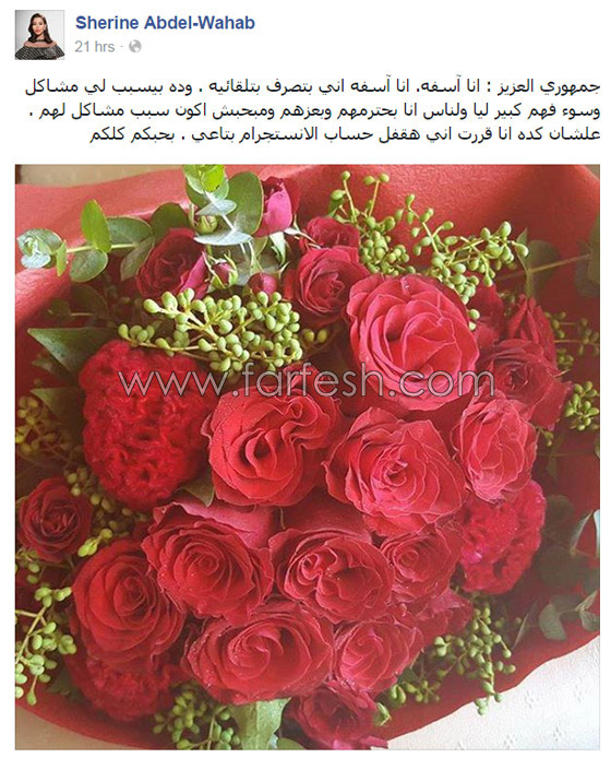 صور شيرين عبد الوهاب تجبرها على الاعتذار من جمهورها واقفال صفحتها في انستغرام صورة رقم 1