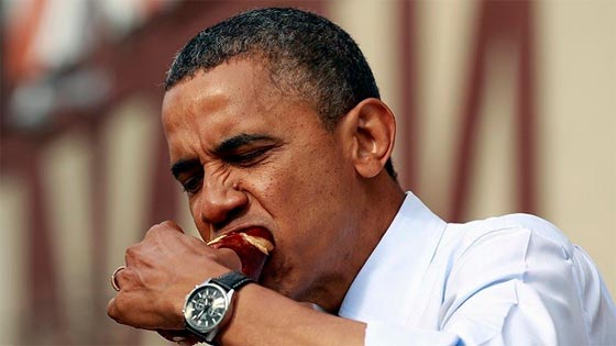 اوباما يعشق بذر الخشخاش الذي يستخرج منه الهيرويين صورة رقم 1