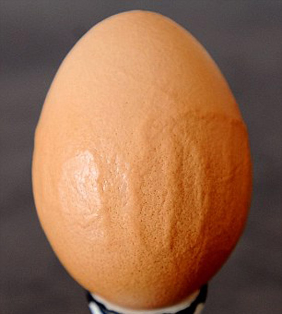 كلمة الله تظهر على بيضة بريطانية  نادرة صورة رقم 3