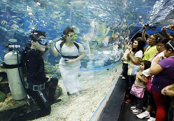 فيديو وصور حفلات زفاف تحت الماء في الصين، لبنان والكويت صورة رقم 5