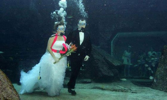 فيديو وصور حفلات زفاف تحت الماء في الصين، لبنان والكويت صورة رقم 7