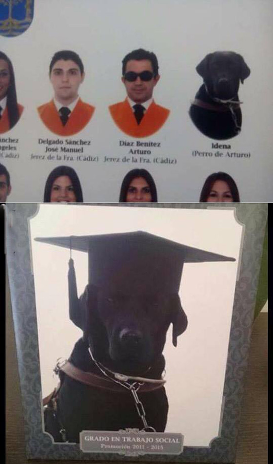 جامعة اسبانية تكرم كلبا وتضعه على قائمة شرفها صورة رقم 1