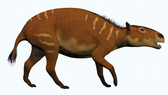  العثور على بقايا حصان تعود الى 48 مليون عام صورة رقم 2