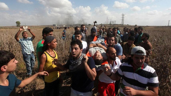 اعدام ثلاثة فلسطينيين بذريعة الارهاب واضراب عام في اراضي 48 صورة رقم 28