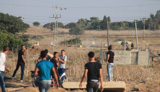 اعدام ثلاثة فلسطينيين بذريعة الارهاب واضراب عام في اراضي 48 صورة رقم 31