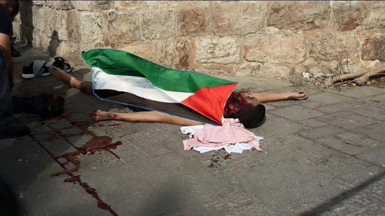 اعدام ثلاثة فلسطينيين بذريعة الارهاب واضراب عام في اراضي 48 صورة رقم 16