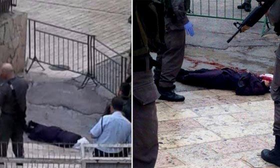  الجيش الاسرائيلي قتل الفتاة في الخليل وهي ترفع يديها ولا تحمل شيئا صورة رقم 1