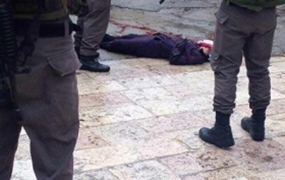  الجيش الاسرائيلي قتل الفتاة في الخليل وهي ترفع يديها ولا تحمل شيئا صورة رقم 2