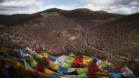 تعرف بالصور على معهد البوذية التيبتية الاكبر والاكثر اهمية في العالم صورة رقم 1