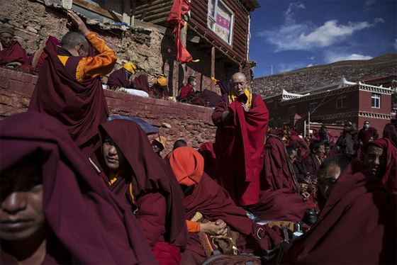 تعرف بالصور على معهد البوذية التيبتية الاكبر والاكثر اهمية في العالم صورة رقم 7