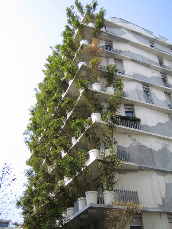  بناية برج الزهور في باريس.. عرض عملاق لنبات الخيزران صورة رقم 6