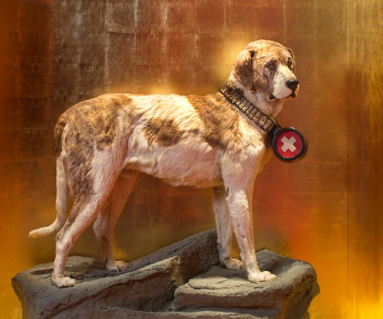 كلاب حققت بطولات في انقاذ البشر على مر العصور وتم تخليد ذكراها صورة رقم 3