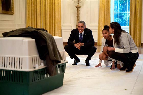  أجمل الصور الجماعية لأسرة اوباما منذ دخولها البيت الابيض صورة رقم 5