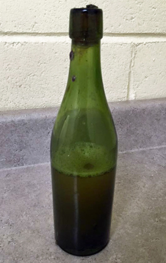غواص يعثر على زجاجة بيرة أقدم من كندا.. شاهد الفيديو صورة رقم 2