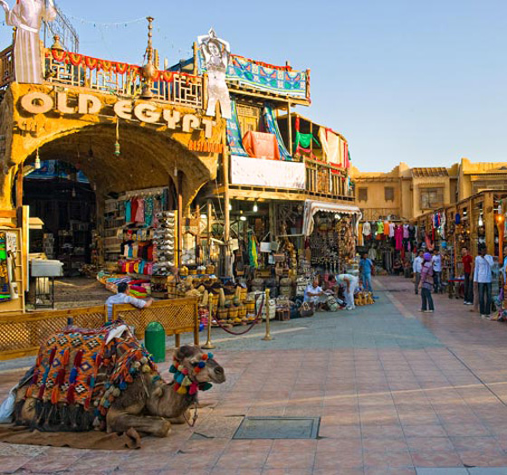 هبوط حر بنسبة 50% على اسعار السياحة بمنطقة البحر الاحمر في مصر صورة رقم 8