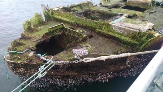 اليابان تعثر على 20 جثة غامضة في سفن خشبية.. شاهد الفيديو صورة رقم 10