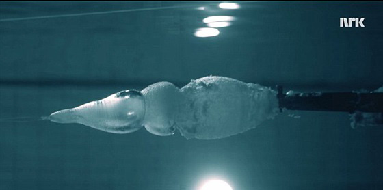 فيديو مثير.. باحث يجري تجربة اطلاق النار على جسده تحت الماء صورة رقم 4