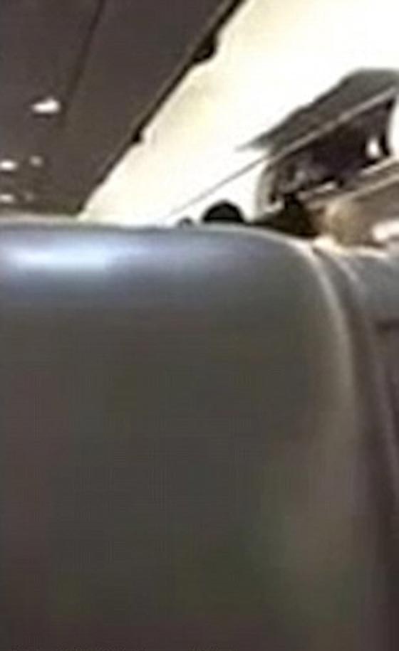  فيديو: مضيفة طيران عنصرية تتباهى بطرد راكبتين محجبتين من الطائرة لهذا السبب! صورة رقم 3