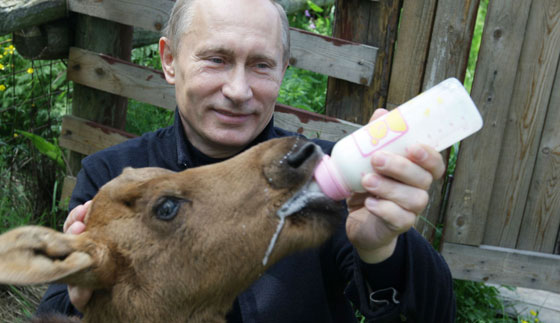 هذا هو بوتين.. من لاعب الجودو الى محرك الجمر تحت رماد بلاده صورة رقم 15