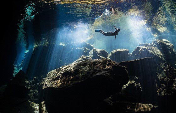 اجمل الصور التقطت تحت الماء وافضلها قرش يخترق جزر الباهاما صورة رقم 3