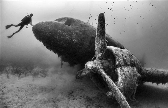 اجمل الصور التقطت تحت الماء وافضلها قرش يخترق جزر الباهاما صورة رقم 12