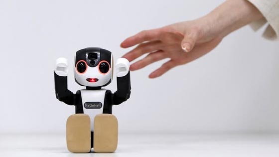 روبوت ذكي، لطيف ومتعدد المواهب يرقص اليابانيين صورة رقم 1