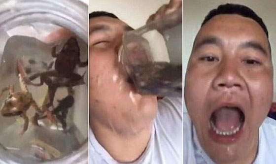  فيديو مقزز.. رجل يأكل الاسماك والضفادع حيّة صورة رقم 1