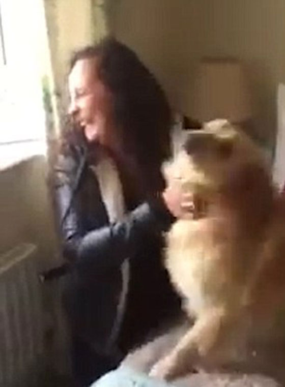 فيديو طريف.. شاهد فرحة الكلب بلقاء صاحبته بعد غياب 7 اشهر صورة رقم 2