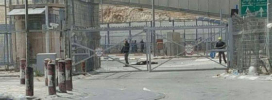 مطالبة الشرطة الاسرائيلية بالكشف عن فيديو يظهر اعدام فلسطيني وشقيقته صورة رقم 1