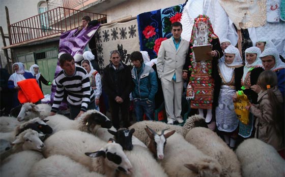 اغرب صور طقوس زواج مسلمي بلغاريا: وضع غرفة النوم امام البيت!   صورة رقم 7