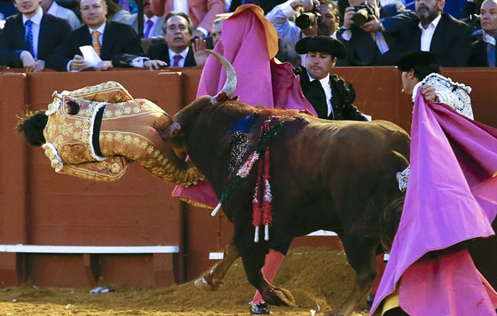 أروع صور: مهرجان فيريا دي أبريل في اسبانيا: ثيران وخيول وفلامنكو صورة رقم 11