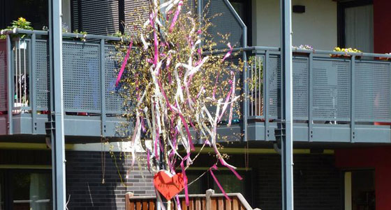 صور غريبة: شجرة مايو من رمز حرق الساحرات الى الحب وطلب الزواج صورة رقم 6