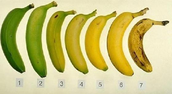 الموز تتغير فوائده بتغير لونه.. تعرف عليه اكثر صورة رقم 1