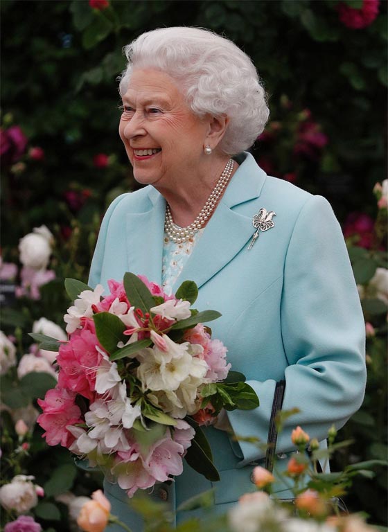 عروض الورود في جلسي تحظى بزيارة خاصة من العائلة الملكية صورة رقم 15