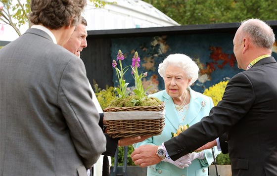 عروض الورود في جلسي تحظى بزيارة خاصة من العائلة الملكية صورة رقم 14