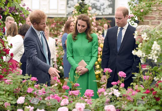 عروض الورود في جلسي تحظى بزيارة خاصة من العائلة الملكية صورة رقم 6