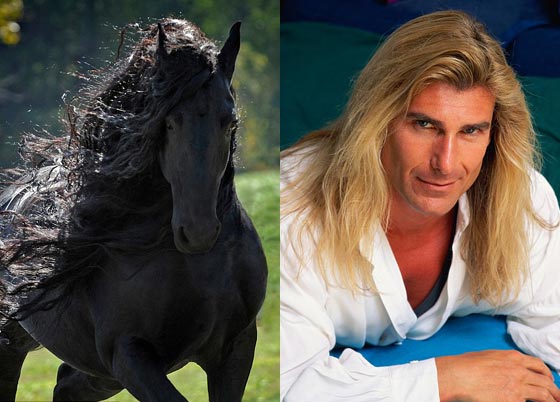  صور اجمل حصان في العالم: هل فعلا يشبه ممثلا ايطاليا؟ صورة رقم 1
