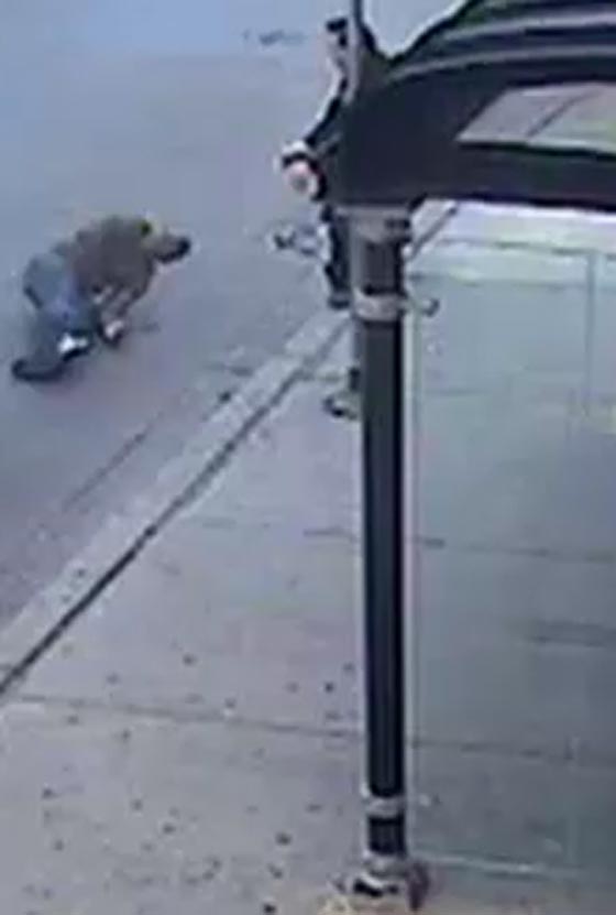 فيديو يدين شرطة شيكاغو ويورطها في حادث اطلاق على اسود اعزل!! صورة رقم 2