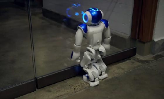 فيديو روبوت.. اغرب يوم عمل في العالم صورة رقم 4