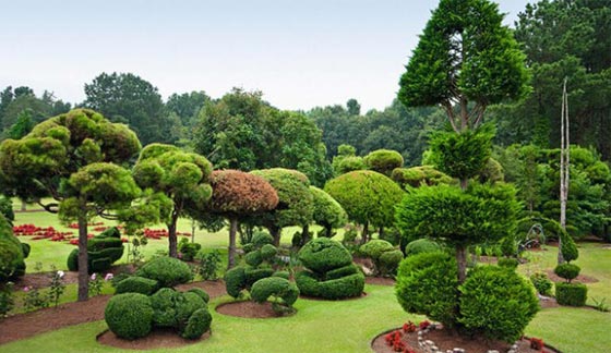 معرض صور.. اجمل الحدائق في العالم ترحب بزوارها صورة رقم 8