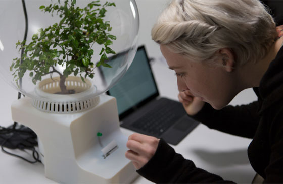 ميكروسوفت تطور كبسولة للتواصل مع النباتات وفهم احتياجاتها صورة رقم 1